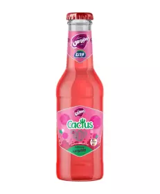 نوشابه گازدار با طعم کاکتوس 250 میلی لیتری جنیوس